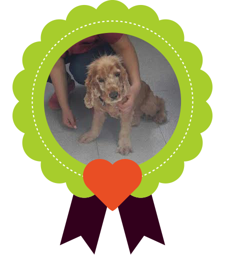Benji