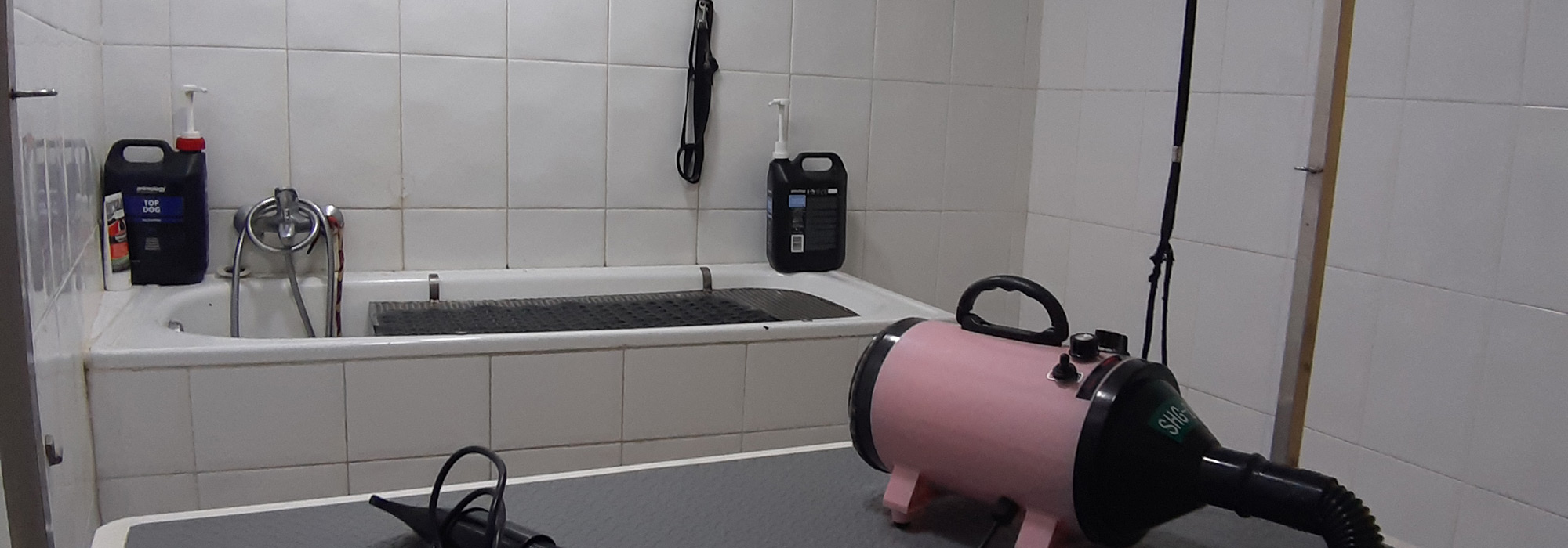 Sala de Banho e Tosquia